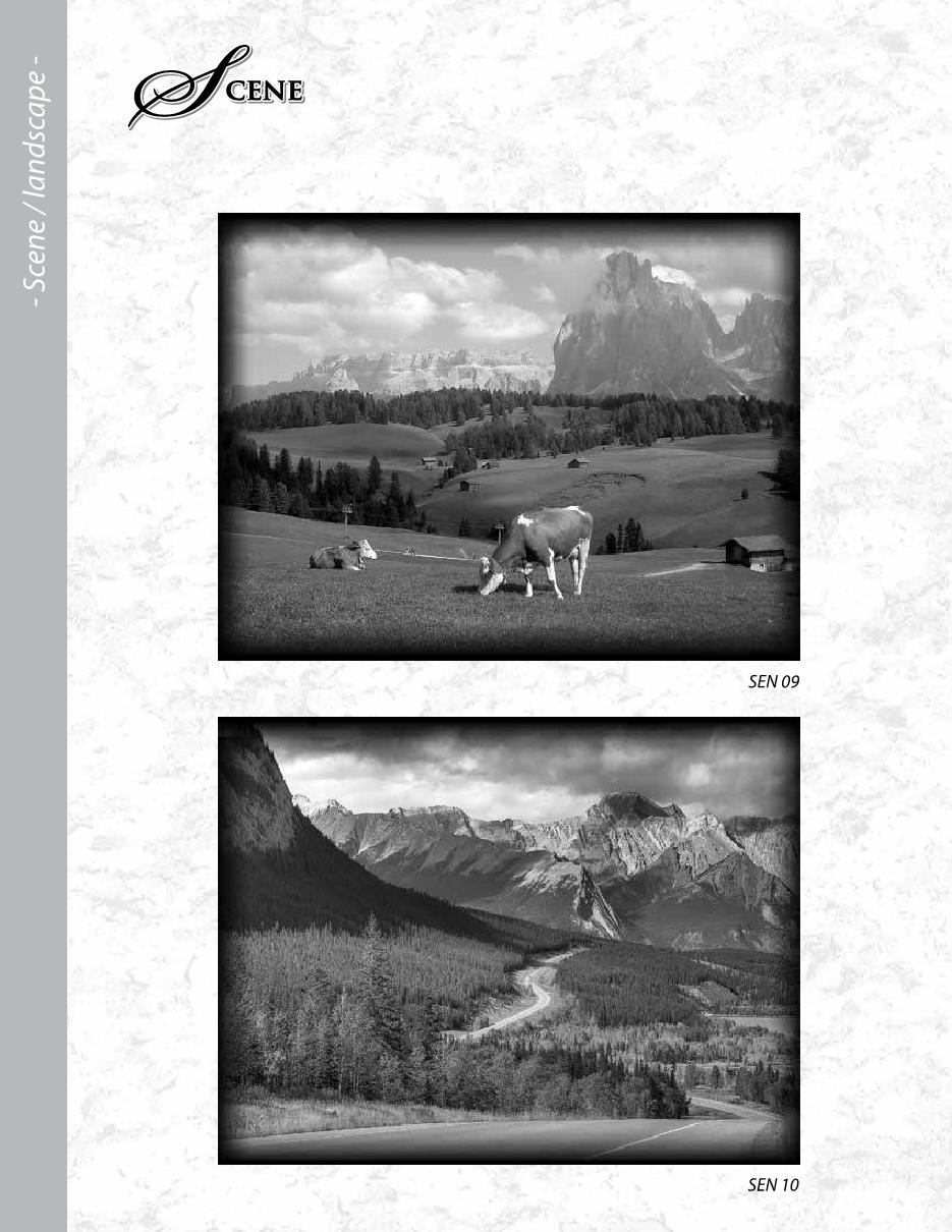 MCD Etching Catalogue Final2020 ronatwork19 Page 141 Flip PDF