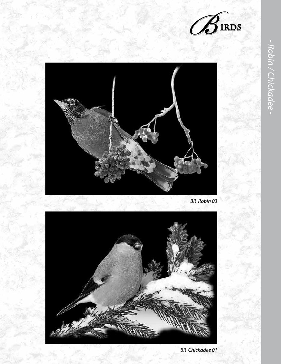 MCD Etching Catalogue Final2020 ronatwork19 Page 56 Flip PDF