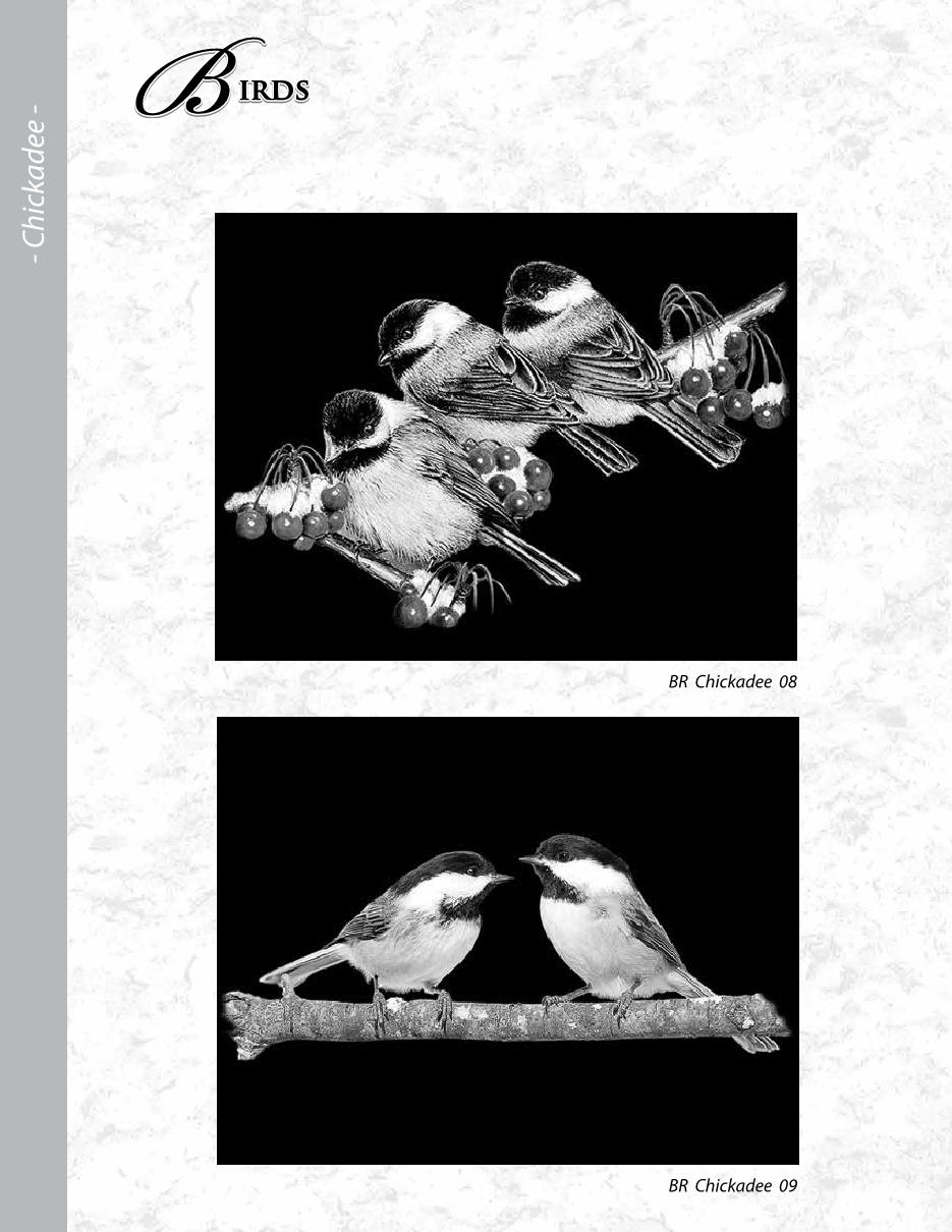 MCD Etching Catalogue Final2020 ronatwork19 Page 59 Flip PDF