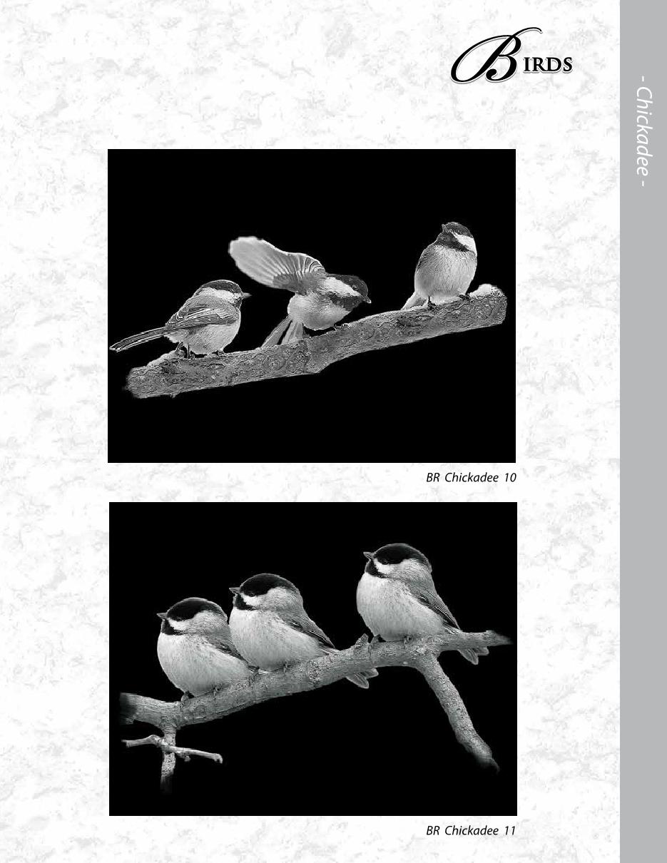 MCD Etching Catalogue Final2020 ronatwork19 Page 60 Flip PDF