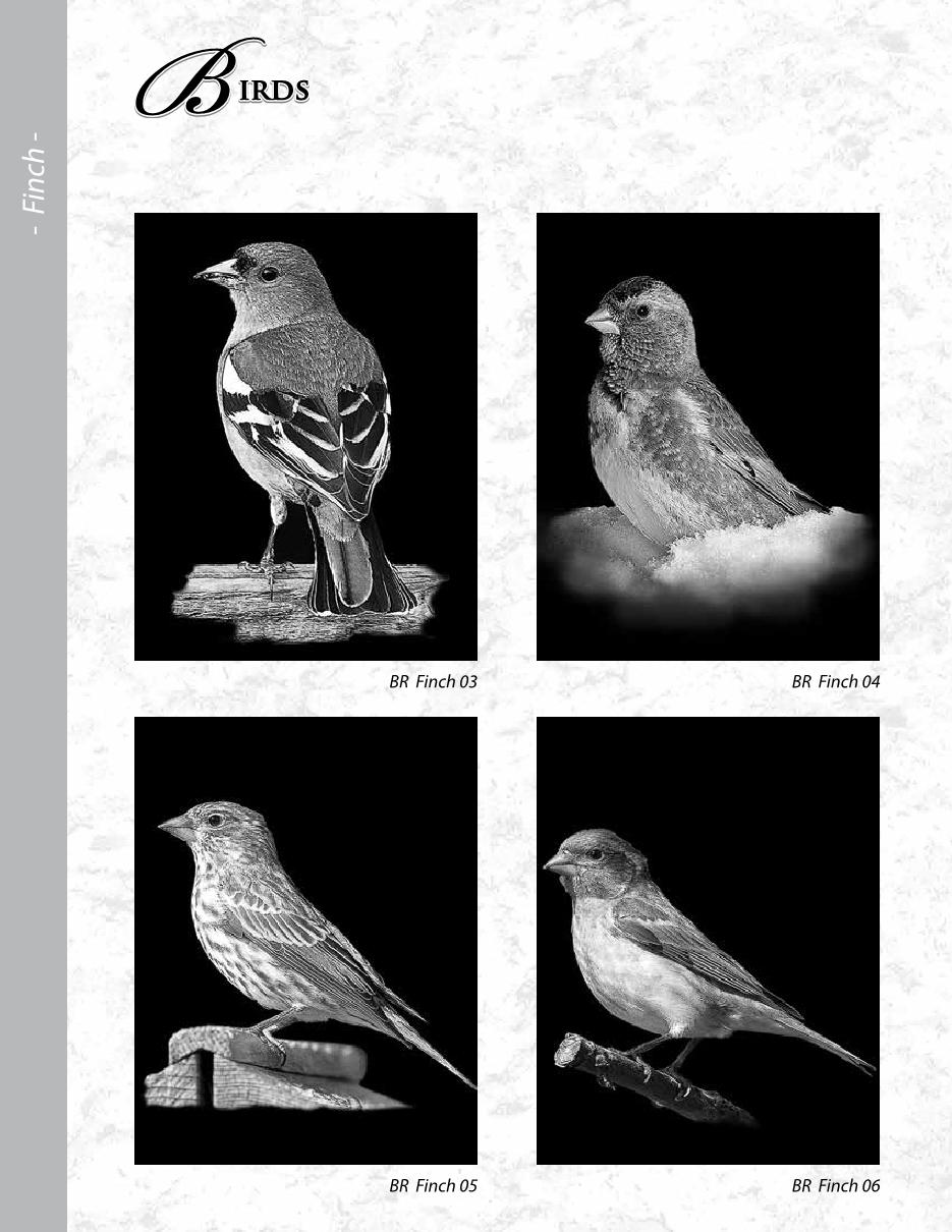 MCD Etching Catalogue Final2020 ronatwork19 Page 65 Flip PDF