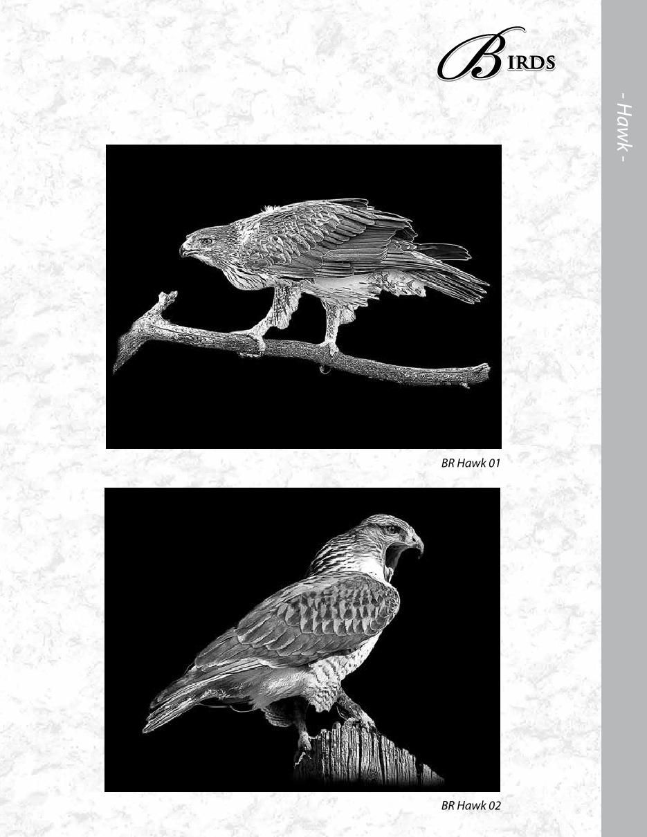 MCD Etching Catalogue Final2020 ronatwork19 Page 76 Flip PDF