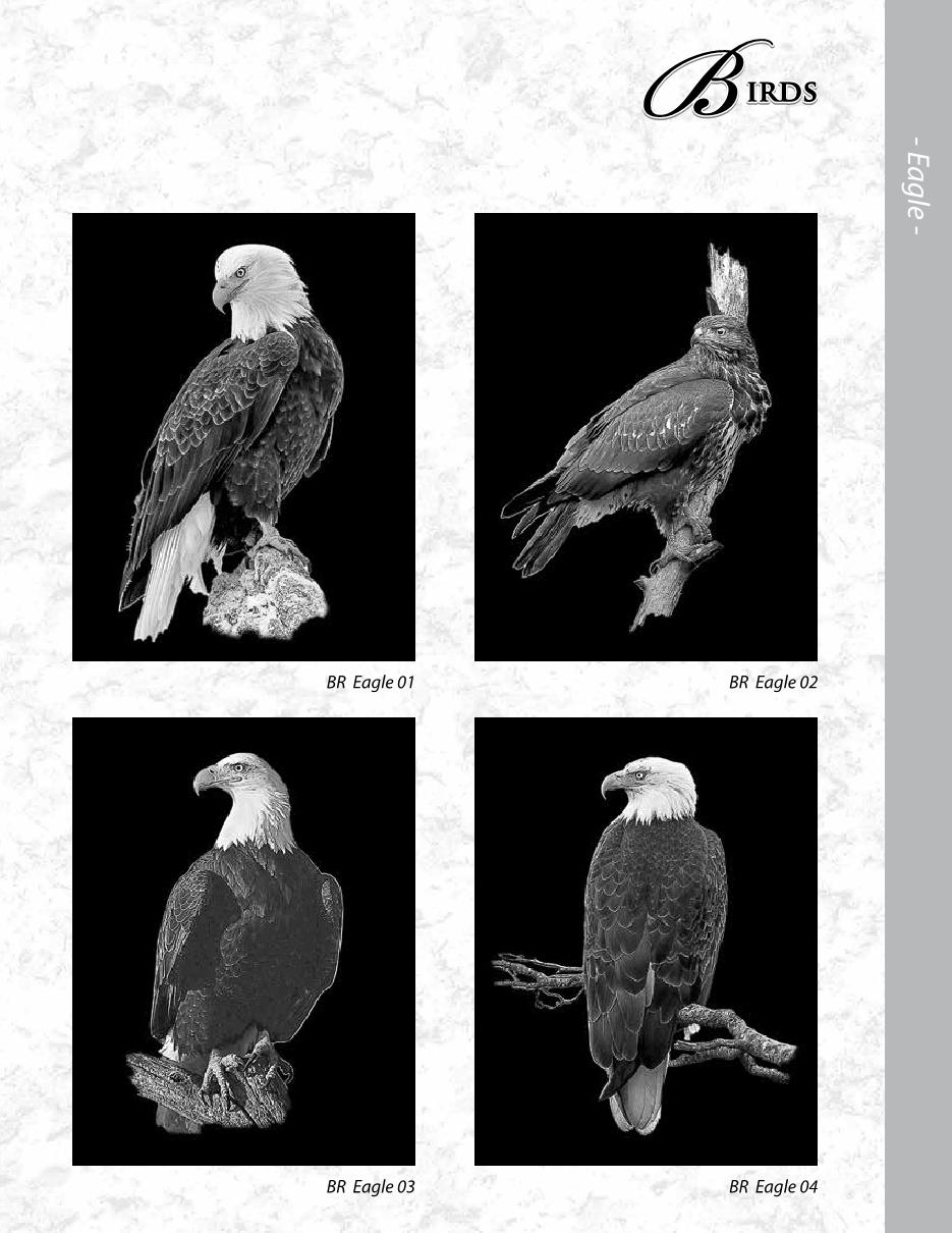 MCD Etching Catalogue Final2020 ronatwork19 Page 70 Flip PDF