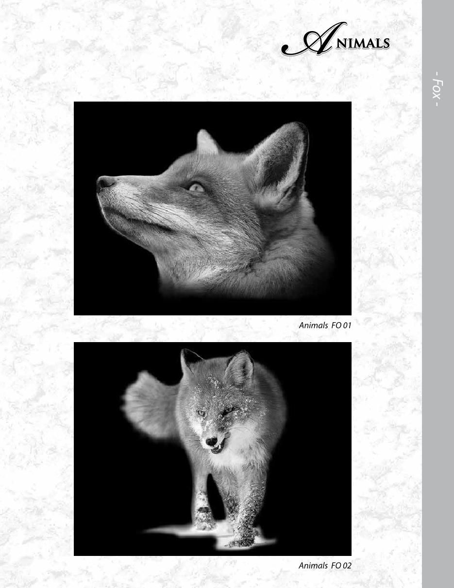 MCD Etching Catalogue Final2020 ronatwork19 Page 36 Flip PDF