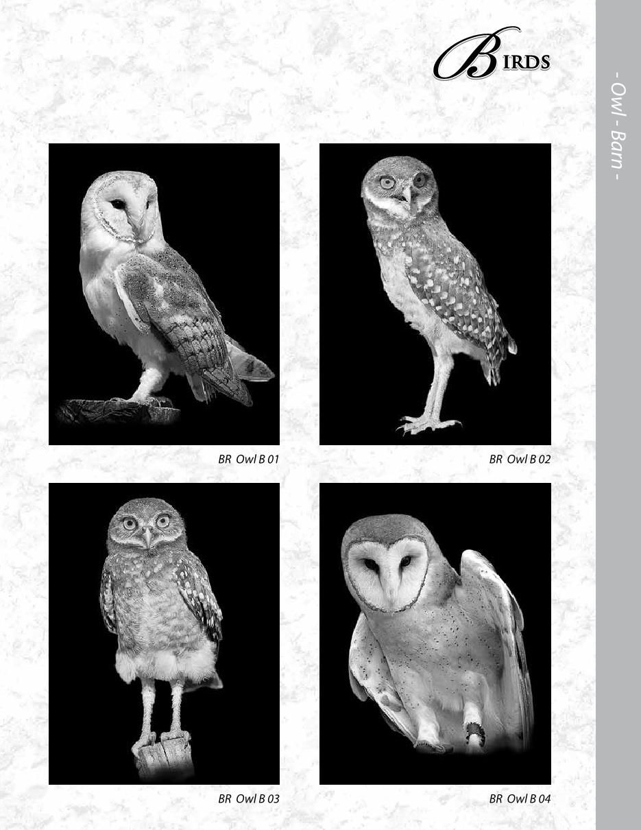 MCD Etching Catalogue Final2020 ronatwork19 Page 78 Flip PDF