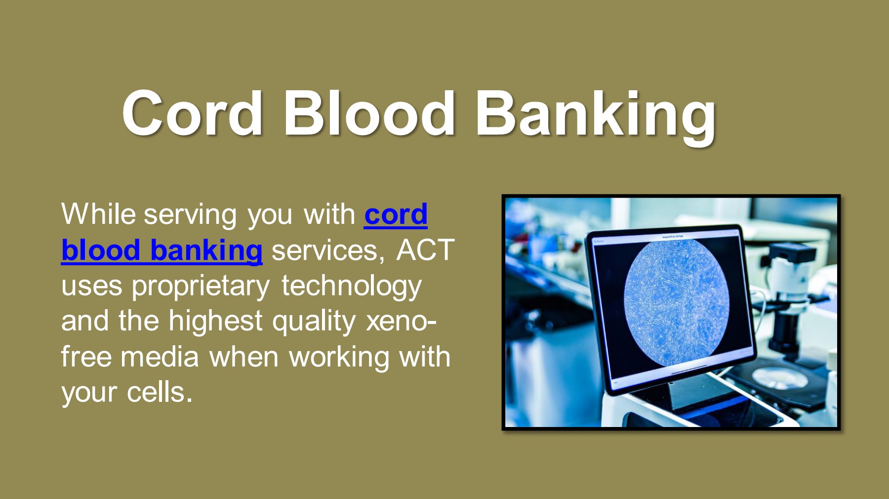 Cord Blood Banking American Cell Technology Page 1 4 Flip PDF