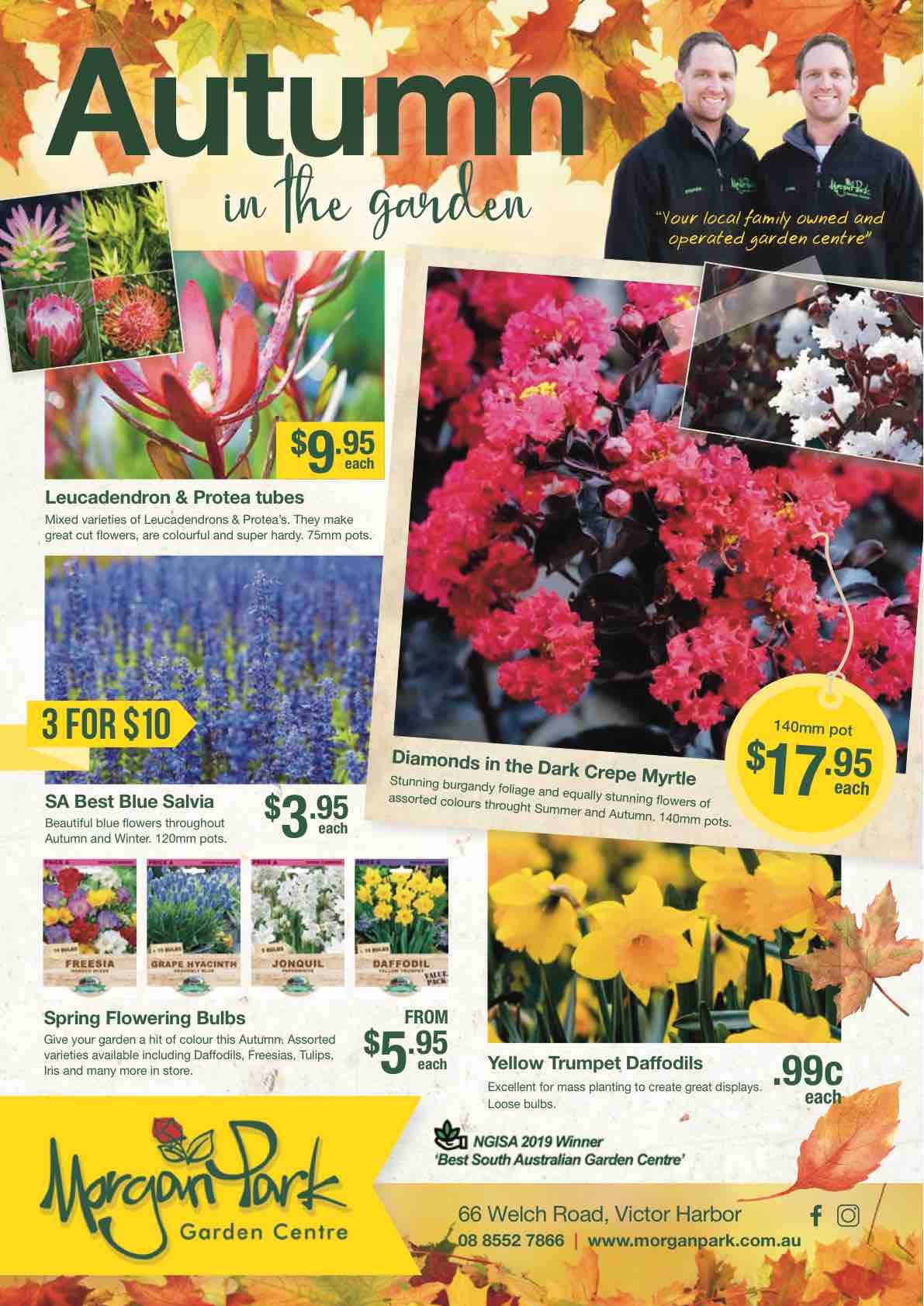 Park Garden Centre Autumn Catalogue 2020 Hansen Design and