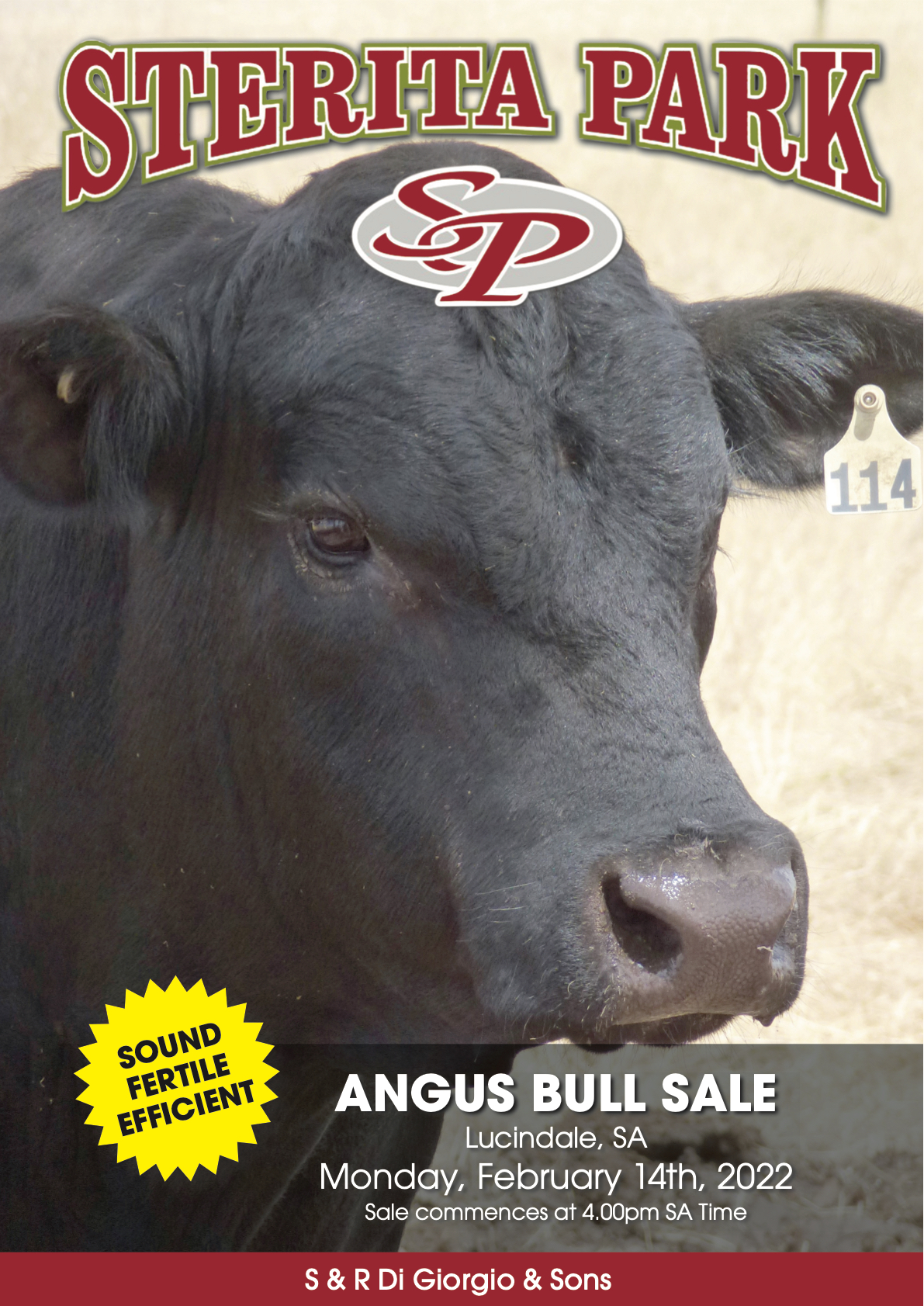 Sterita Park Bull Sale Catalogue 2022 Hansen Design and Print Page