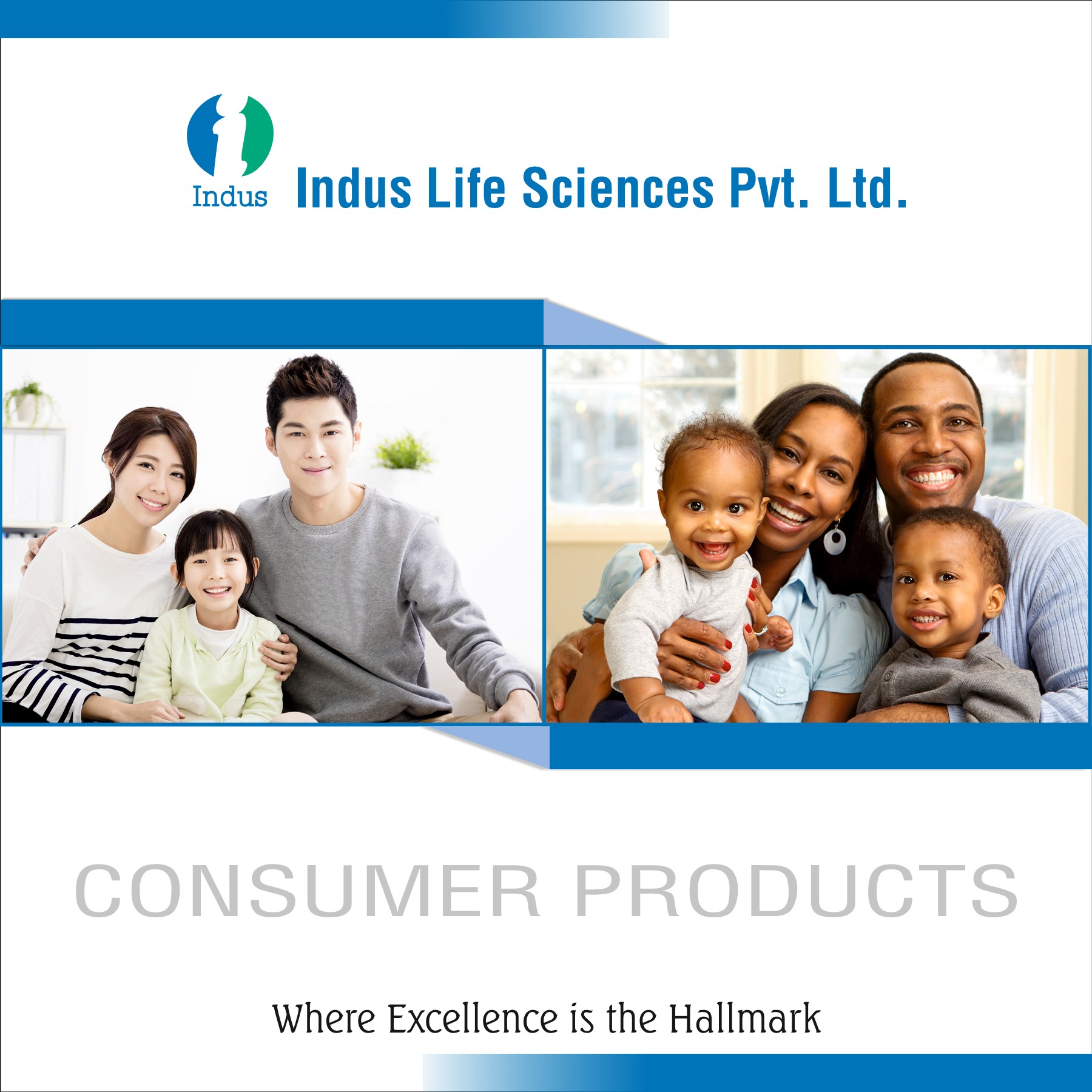 Indus Consumer Booklet mail Page 1 19 Flip PDF Online PubHTML5