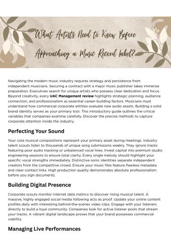 What Artists Need to Know Before Approaching a Mus