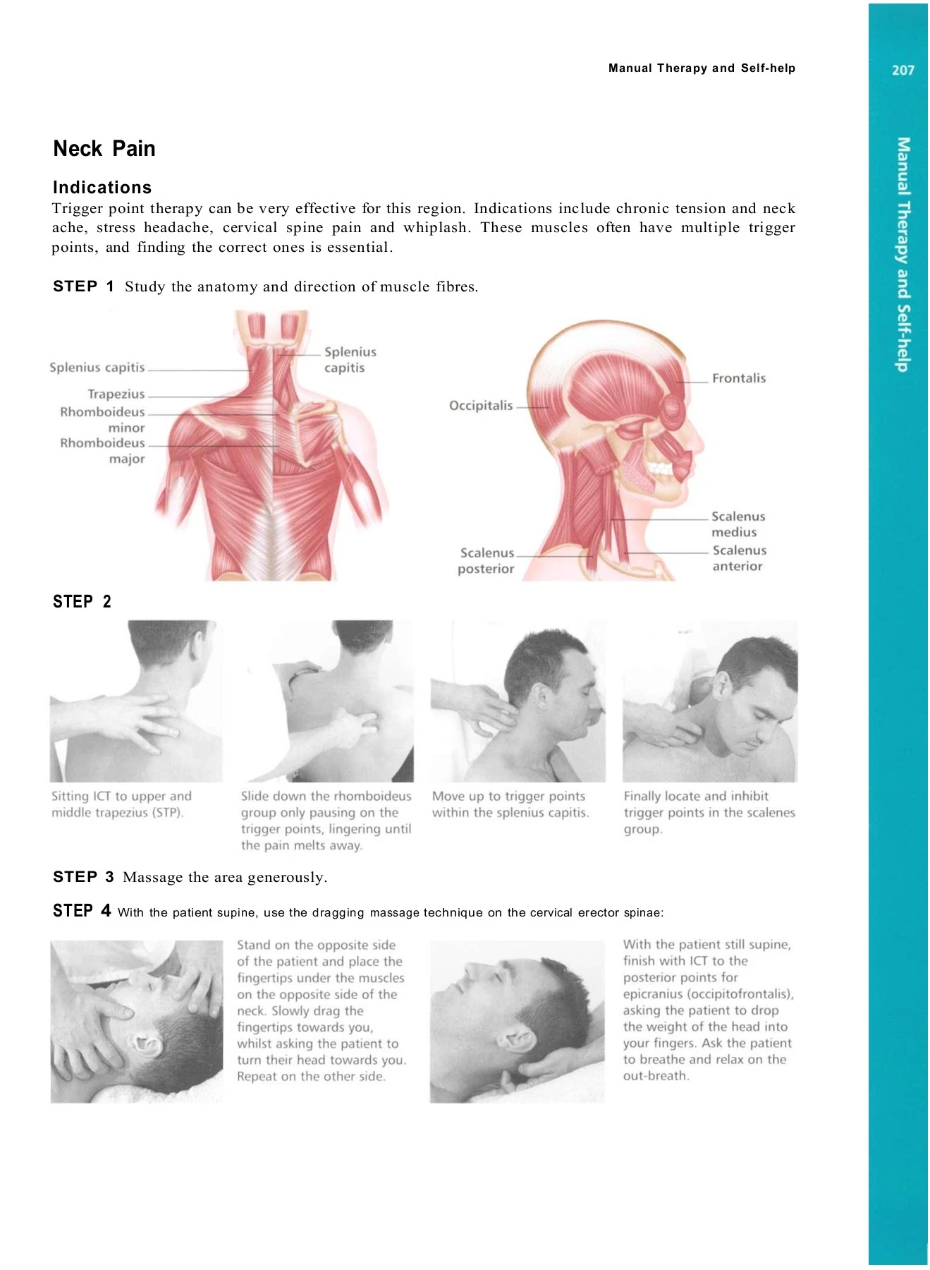 Trigger Point Text Book Concise Book of Trigger Points - LATE SURESHANNA BATKADLI COLLEGE OF ...