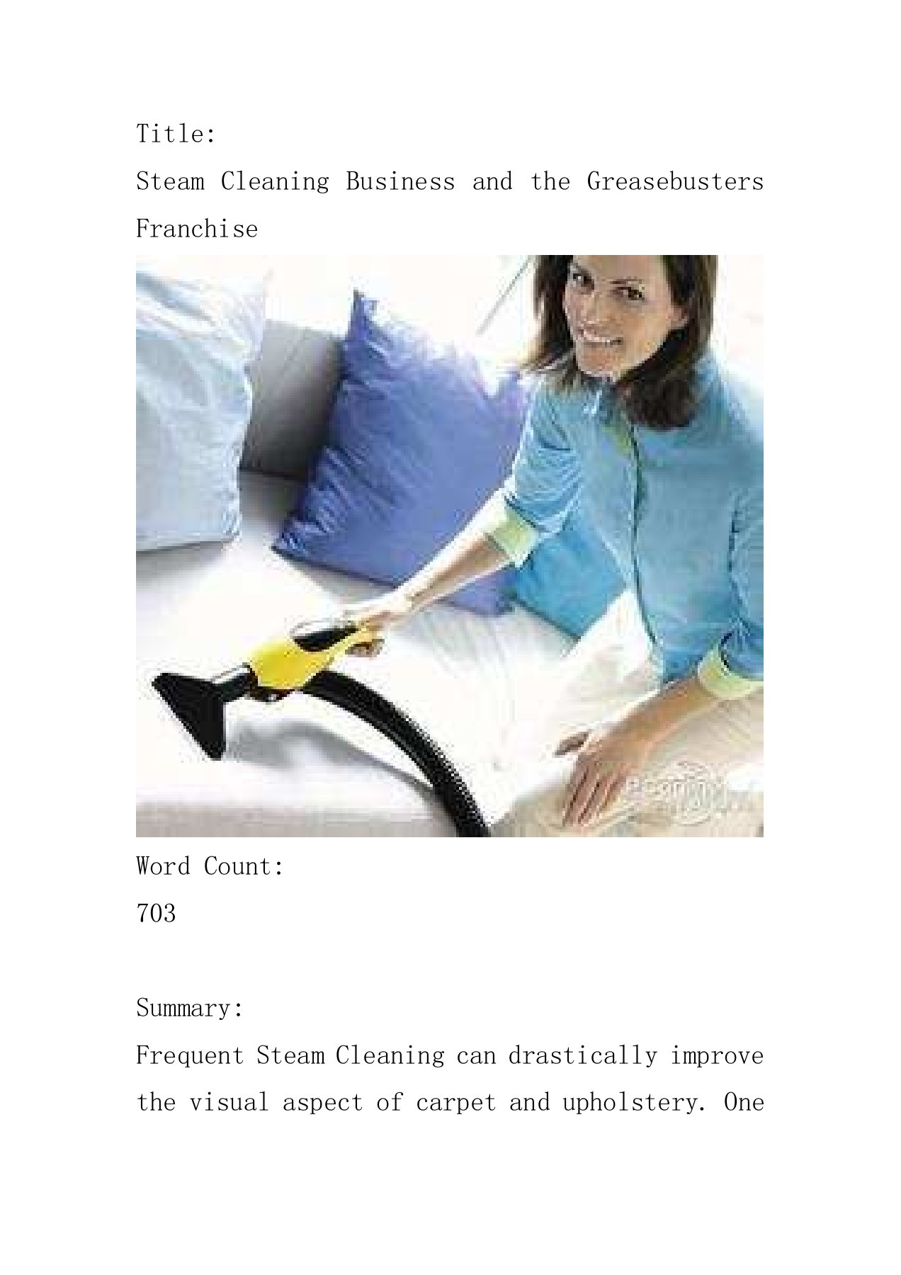 Steam Cleaning Business and the Greasebusters Franchise seeger Page 1 7 Flip PDF Online