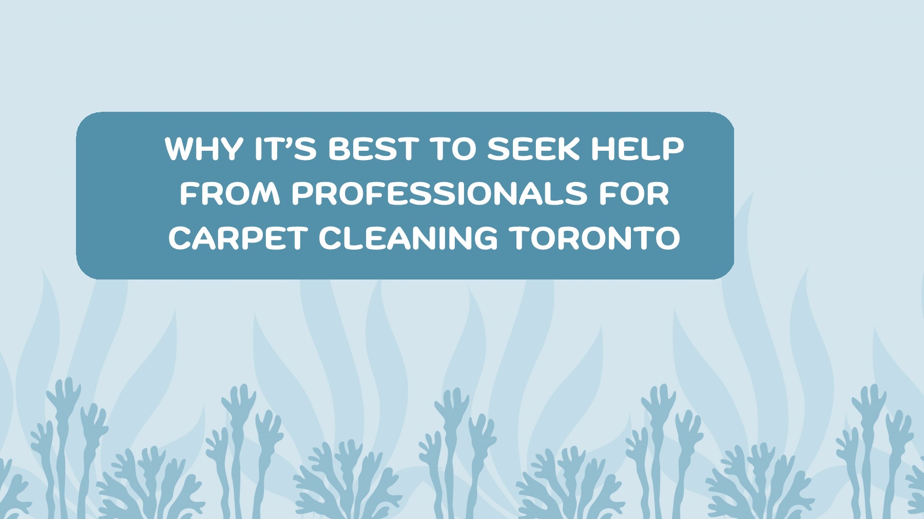 Why it’s best to seek help from professionals for carpet cleaning