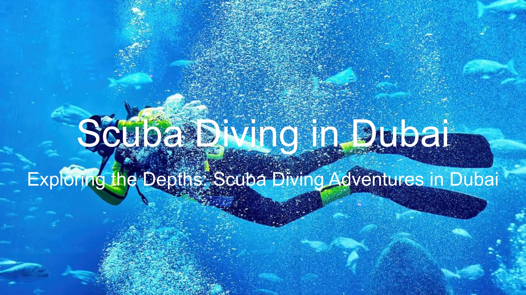 Scuba Diving in Dubai Joe Roman Page 1 5 Flip PDF Online PubHTML5