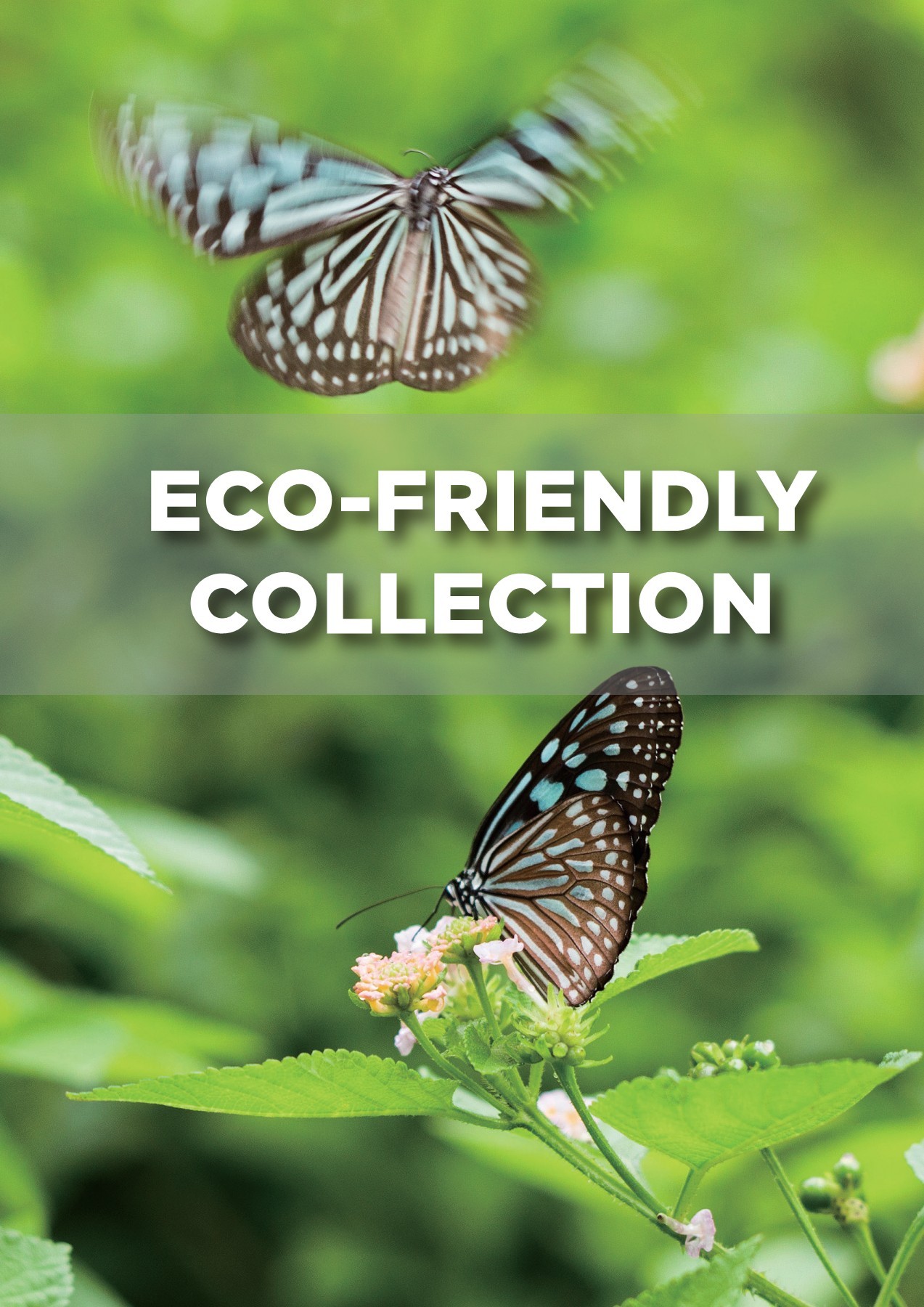 EcoFriendly Catalogue promotional product catalogues Page 1 56