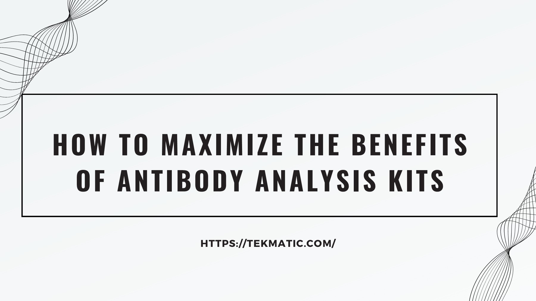 How to Maximize the Benefits of Antibody Analysis Kits Tek Matic Inc