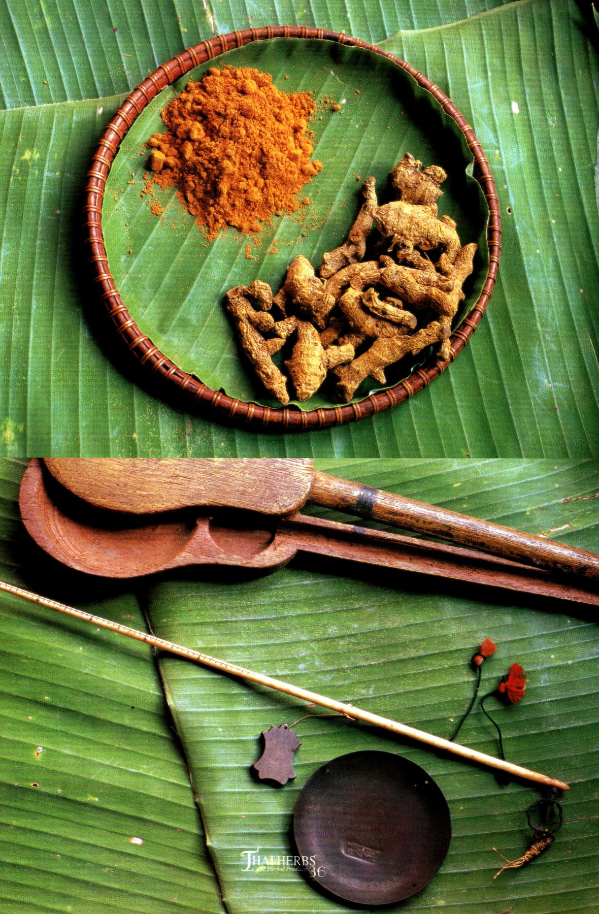 Thai herbs and herbal products ห้องสมุดเฉลิมพระเกียรติ ๕๐ พรรษา อำเภอ