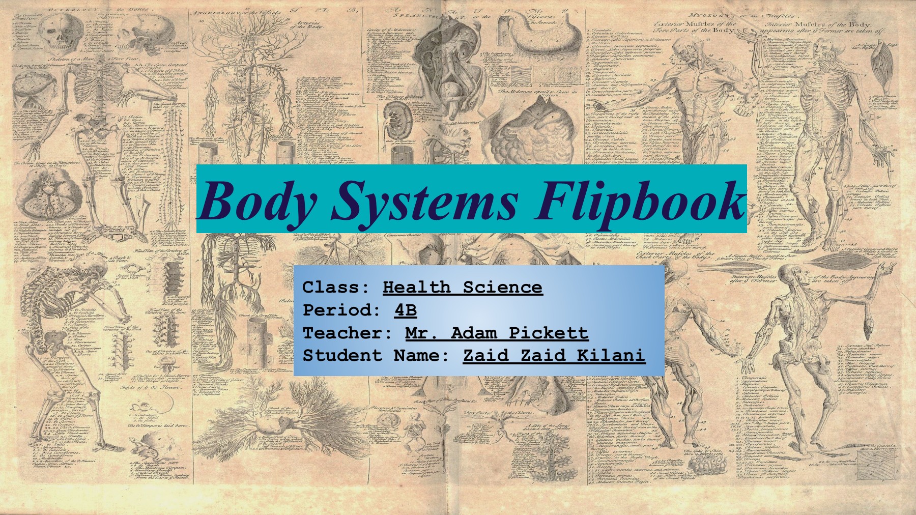 Body Systems Final Flipbook Zaid Zaid Kilani Page 1 20 Flip PDF